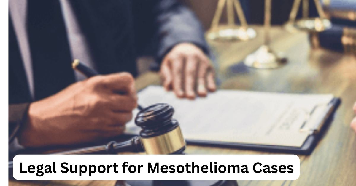 Legal Options for Mesothelioma Patients: Filing a Claim and Compensation